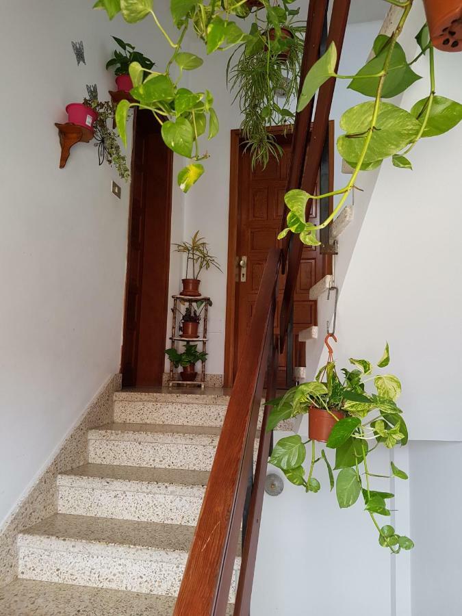 Atico Con Vistas Al Mar, Garachico Apartment Garachico  Exterior photo